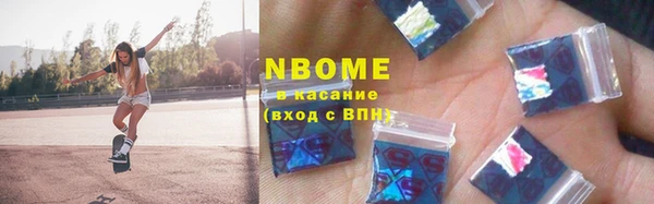 шишки Богородицк